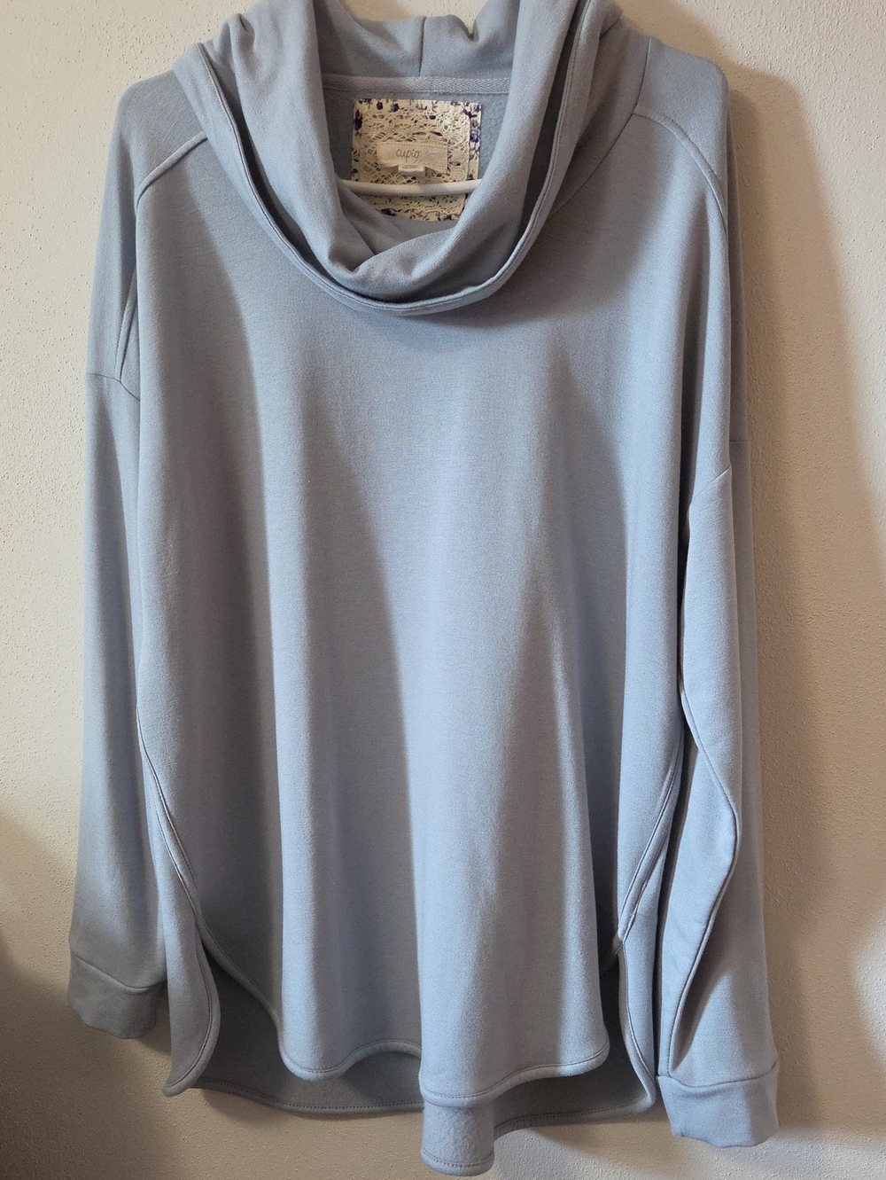 Cupio Pale Blue Cowl Neck Pullover